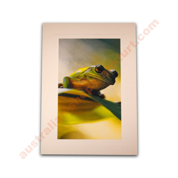 Glückwunschkarte -Green Tree Frog